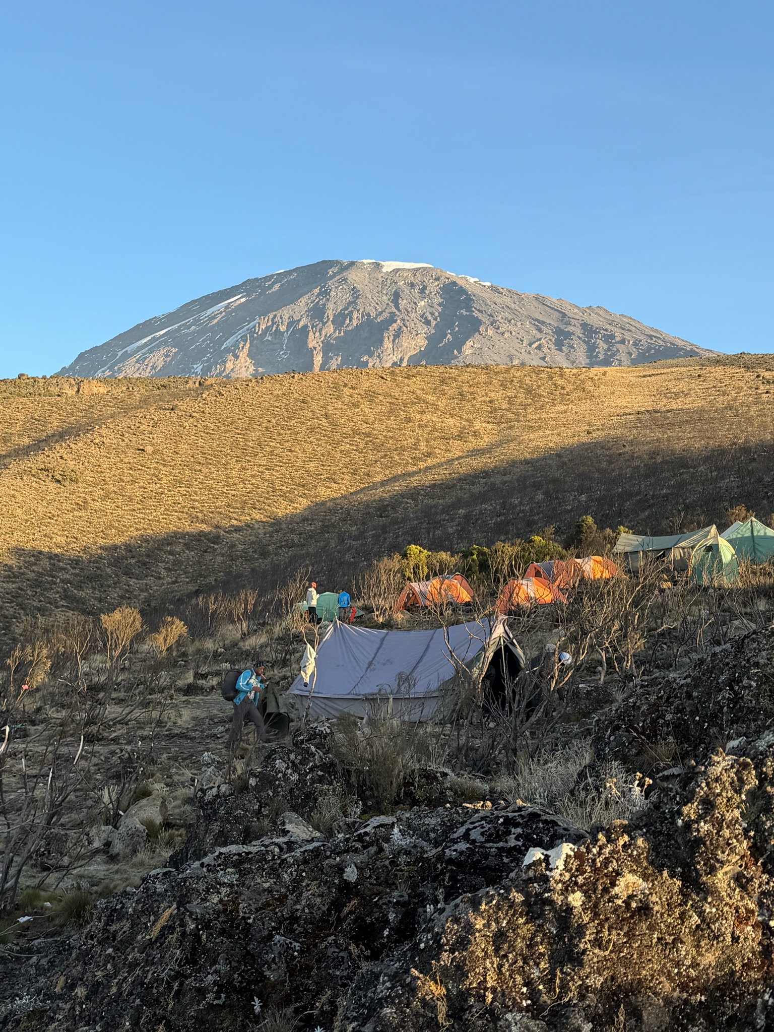 Golden-hour camp below Kibo on the Lemosho route