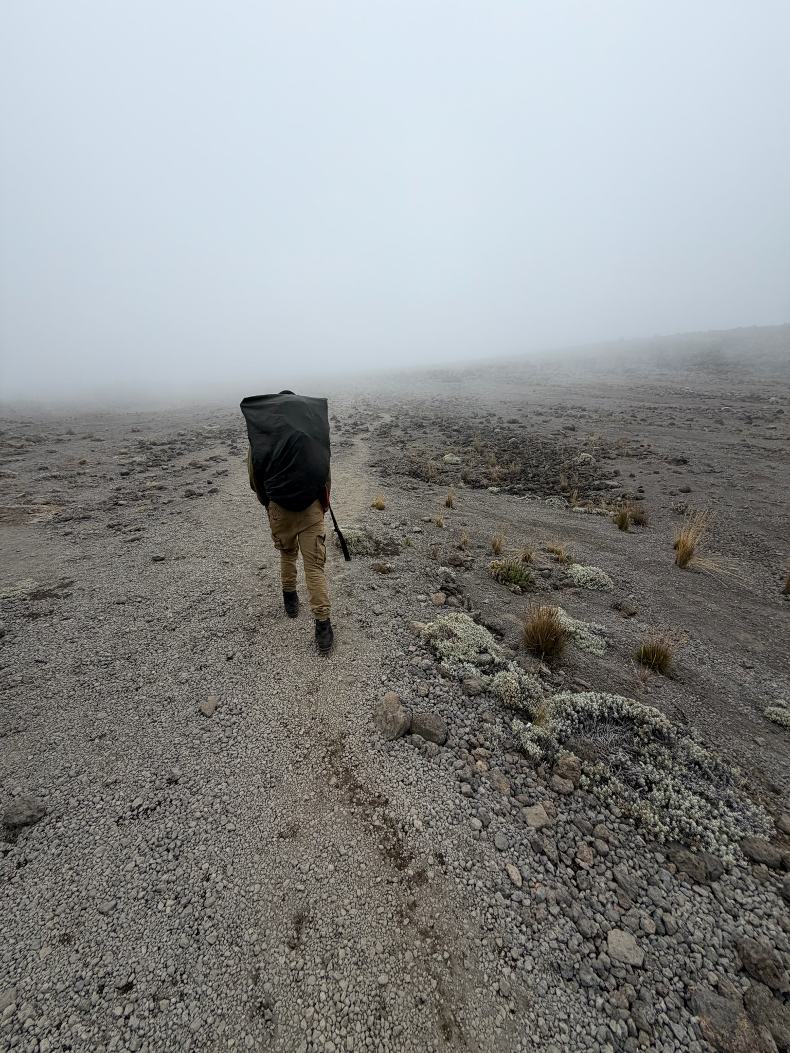 A Kilimanjaro porter carrying a full expedition load through fog on the alpine desert