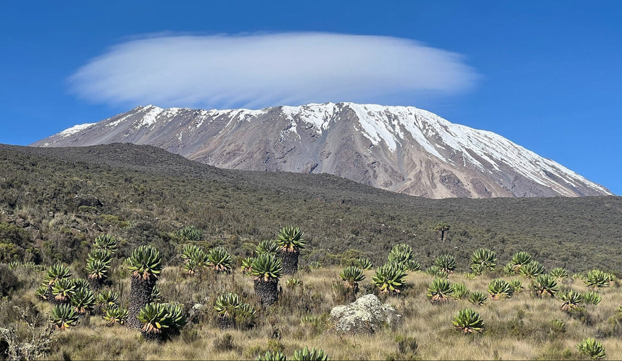 How Hard Is It to Climb Kilimanjaro?